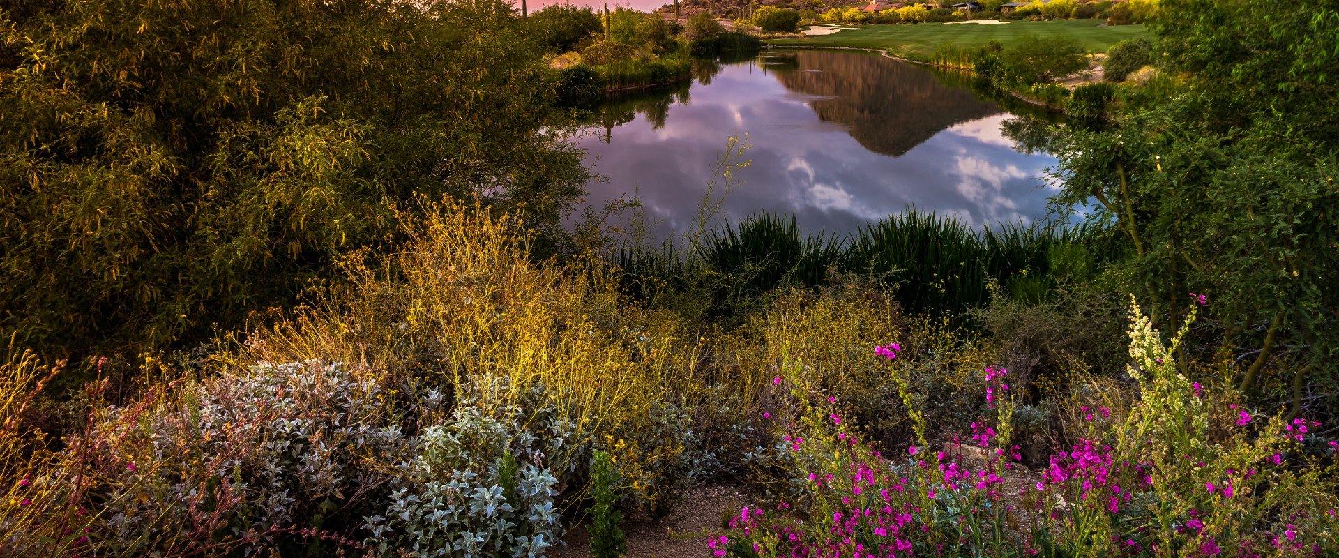 Exploring Maricopa County, Arizona: What's the Best Way to Get to the Different Exhibit Locations?