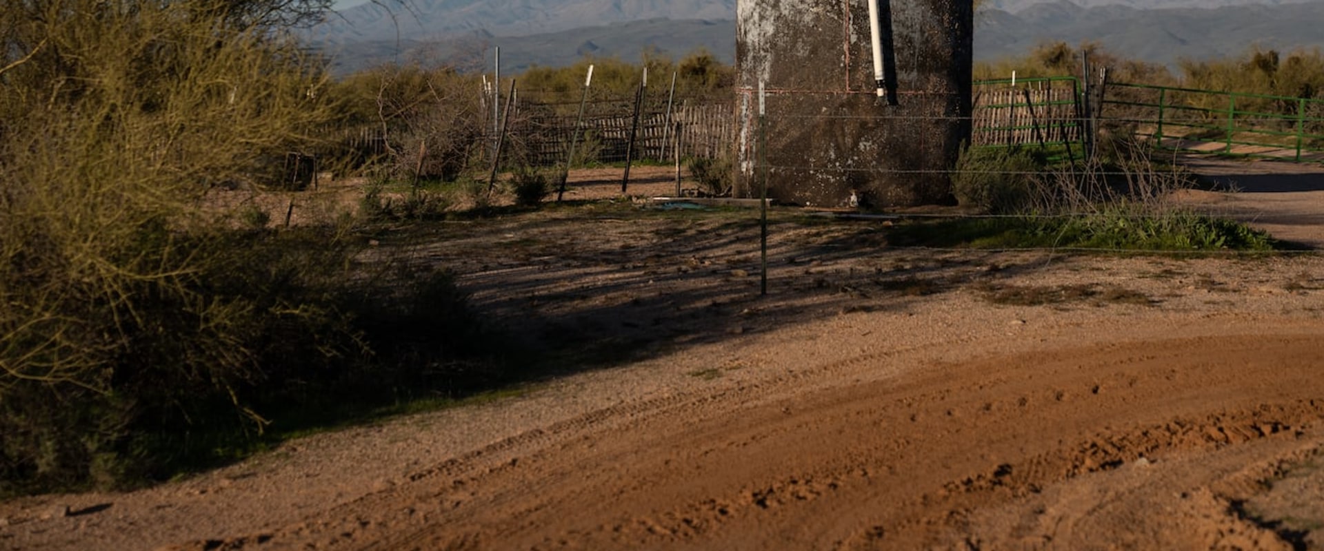 How Long Should You Spend at an Exhibit in Maricopa County, Arizona?