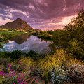 Exploring Maricopa County, Arizona: What's the Best Way to Get to the Different Exhibit Locations?
