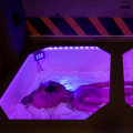 Explore the Most Interactive Exhibit in Maricopa County, Arizona
