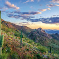 Exploring Maricopa County, Arizona: Guided Tours and Exhibits for an Unforgettable Experience