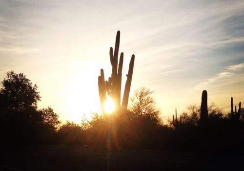 Explore the Best Seasonal Exhibits in Maricopa County, Arizona
