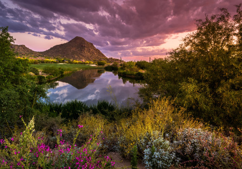 Exploring Fun and Exciting Activities in Maricopa County, Arizona