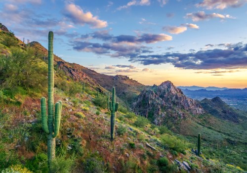 Exploring Maricopa County, Arizona: Guided Tours and Exhibits for an Unforgettable Experience