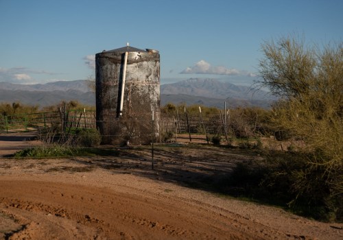 How Long Should You Spend at an Exhibit in Maricopa County, Arizona?